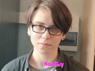 NoahBoy