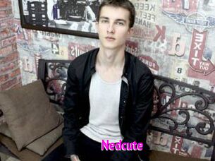 Nedcute
