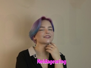 Neldagearing