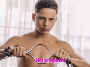 Nethanspecter
