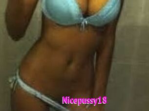 Nicepussy18