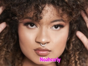 Noahcurly