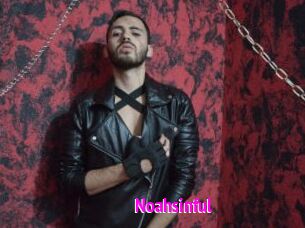 Noahsinful
