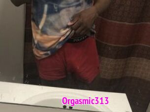 Orgasmic313