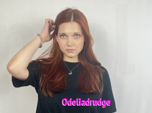 Odeliadrudge