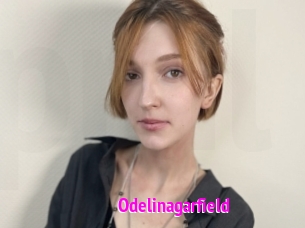 Odelinagarfield