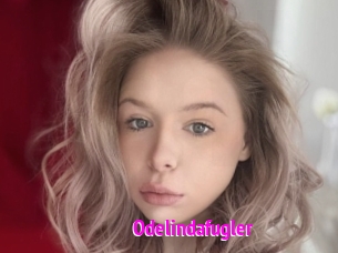 Odelindafugler