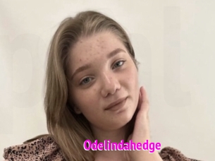 Odelindahedge
