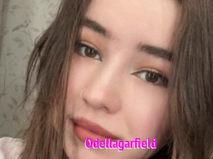 Odellagarfield