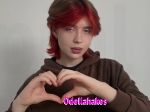 Odellahakes