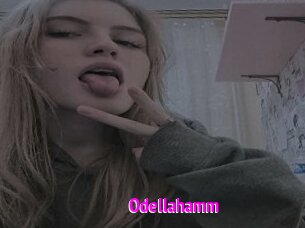 Odellahamm