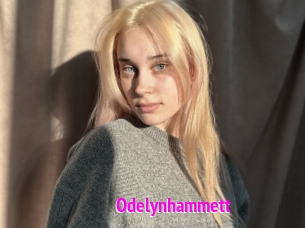 Odelynhammett