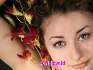 Orchidwild