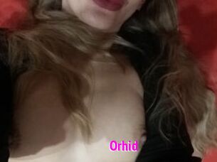 orhid Porn Loverz