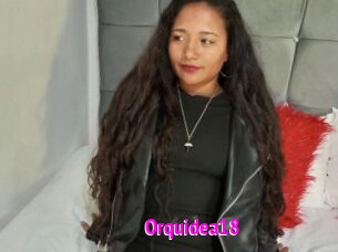 Orquidea18