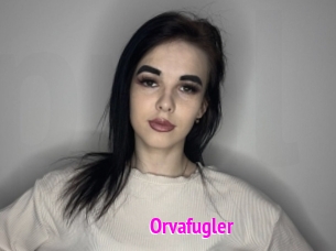 Orvafugler
