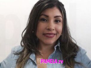 PAMELA_zv
