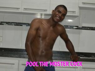 POOL_THE_MOSTER_COCK