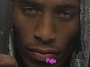 Paju