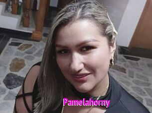 Pamelahorny