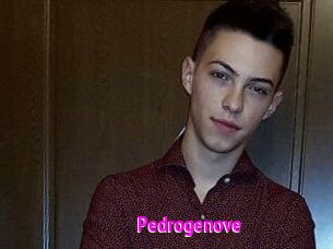 Pedrogenove