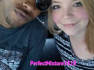 PerfectMixture3828