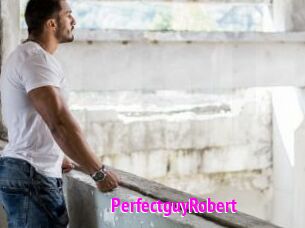 PerfectguyRobert