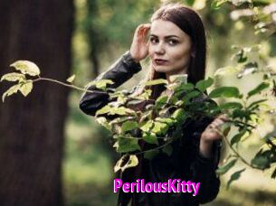 Perilous_Kitty
