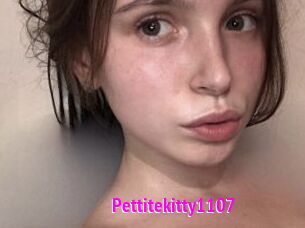 Pettitekitty1107