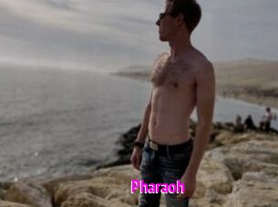 Pharaoh