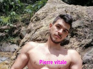 Pierre_vitale