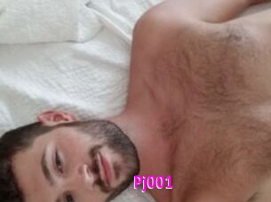 Pj001