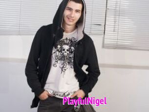 PlayfulNigel