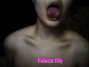 Polecat_Elly