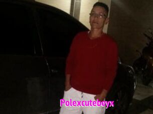 Polexcuteboyx