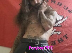 Ponyboy1981