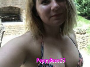 PoppyRose23