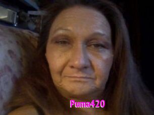 Puma420