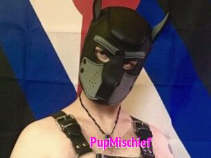 PupMischief