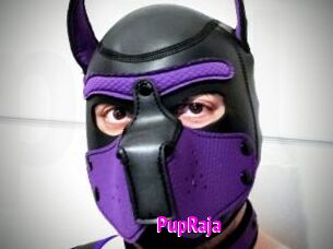 PupRaja