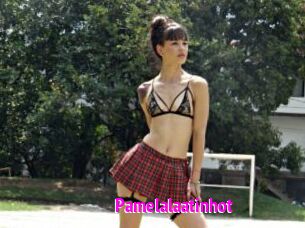 Pamelalaatinhot