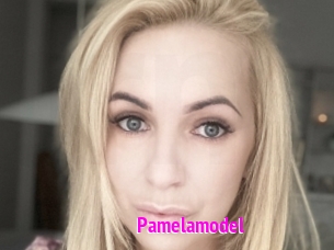 Pamelamodel