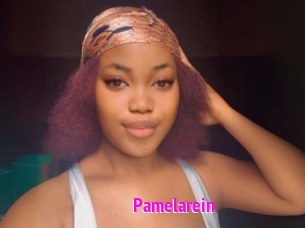 Pamelarein