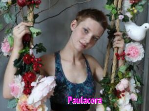 Paulacora