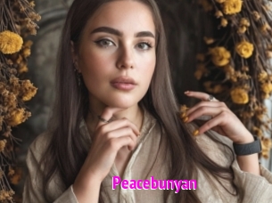 Peacebunyan