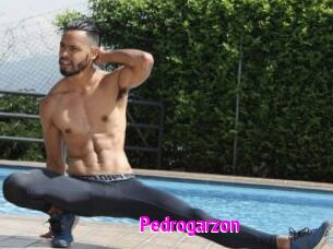 Pedrogarzon