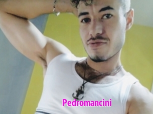 Pedromancini