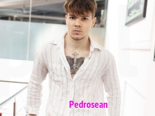 pedrosean Porn Loverz