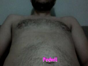 Pedwil