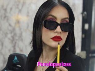 Penelopeekass